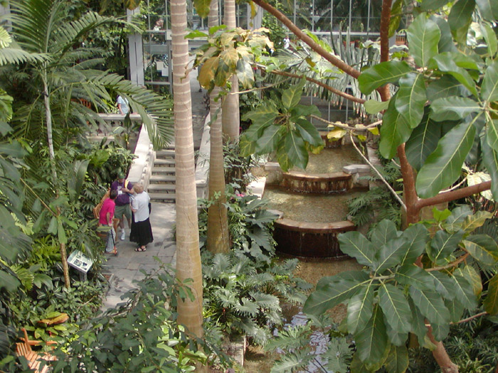 inside the greenhouse